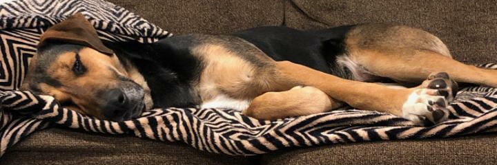 Name Cannot Be Blank banner