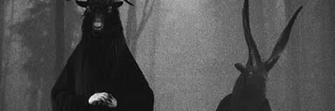 lacampeonisima's profile banner image