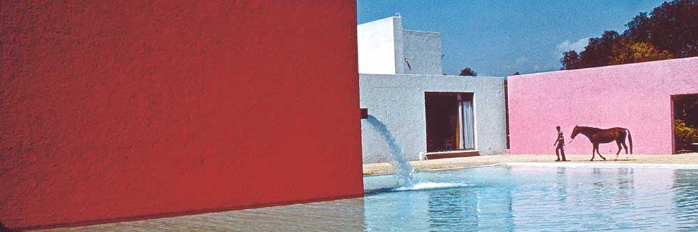 Lena Rochoux banner