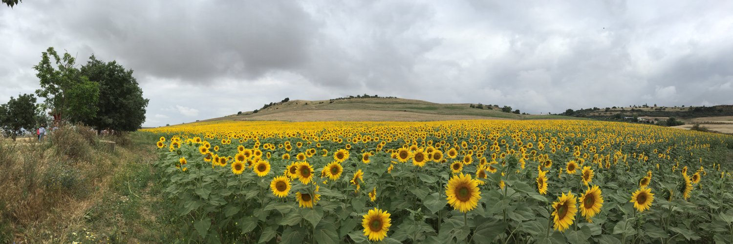 marcefn's profile banner image