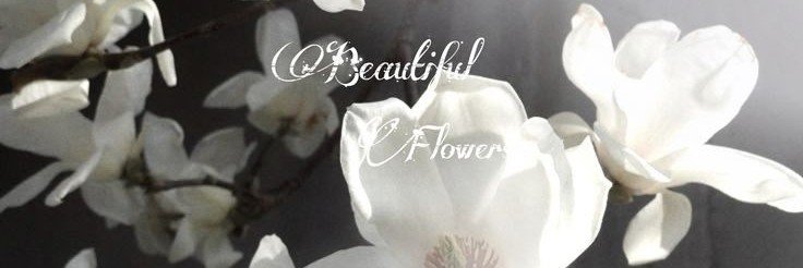 detijur's profile banner image