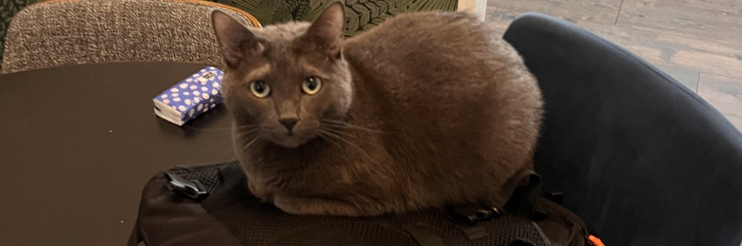 Brian Baldinger banner