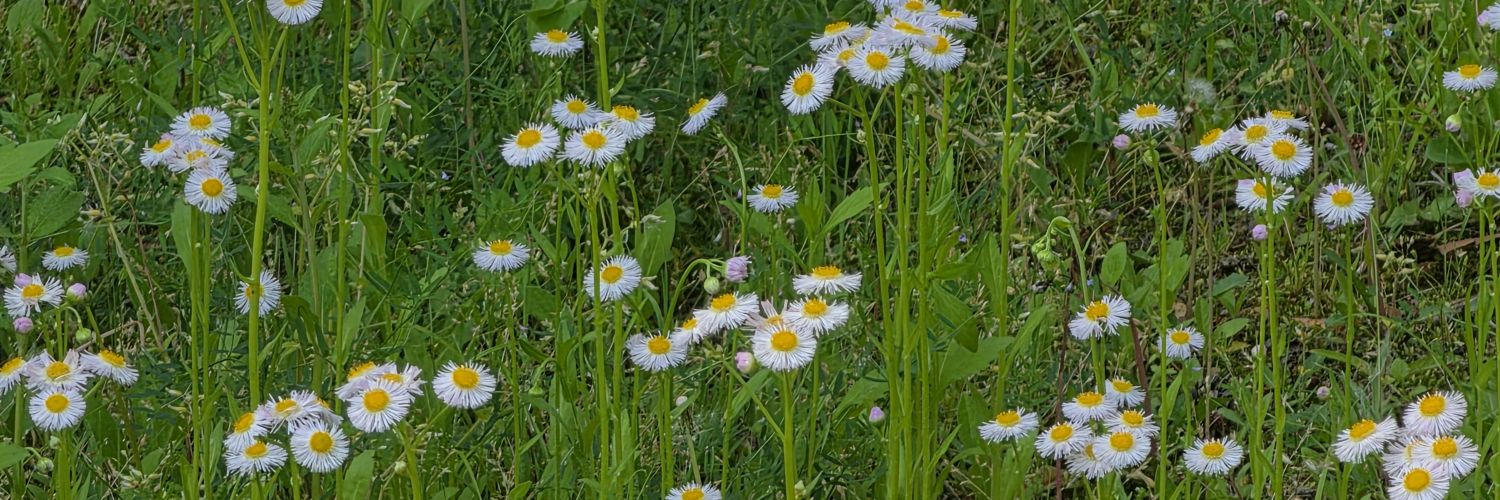 k6ml293's profile banner image