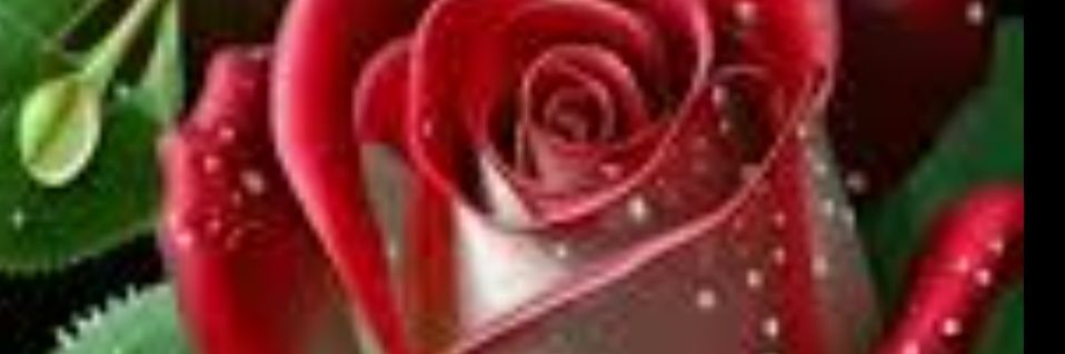 ANora140095's profile banner image