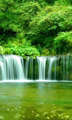 DebesTourTravel's profile banner image