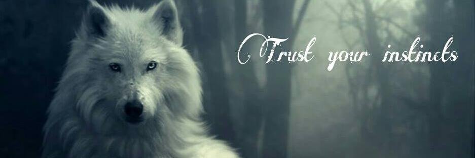 _WOLFRED_'s profile banner image