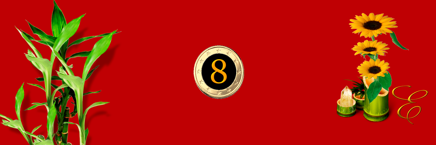 Edigirassol's profile banner image