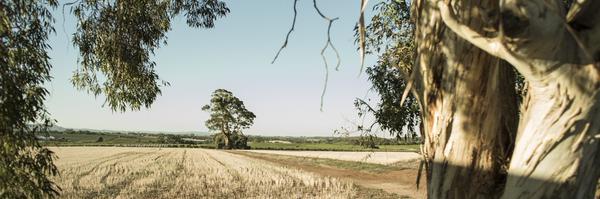 mimicullen3 Profile Banner