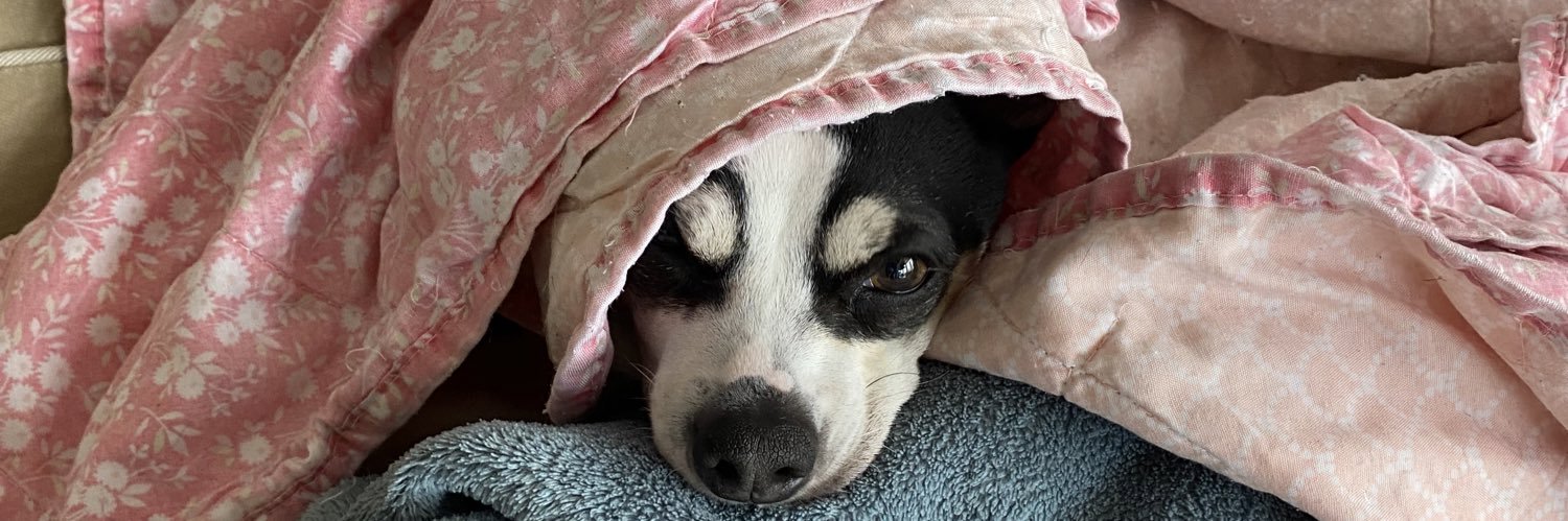 Christopher Reade banner