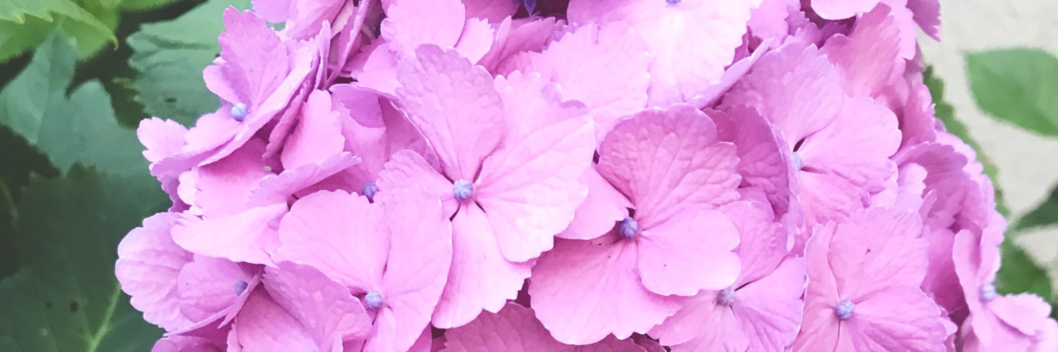 hiroko_terada's profile banner image