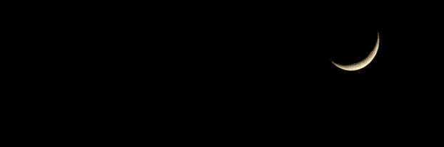 talitulalit's profile banner image