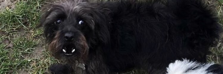 Cazmatraz's profile banner image