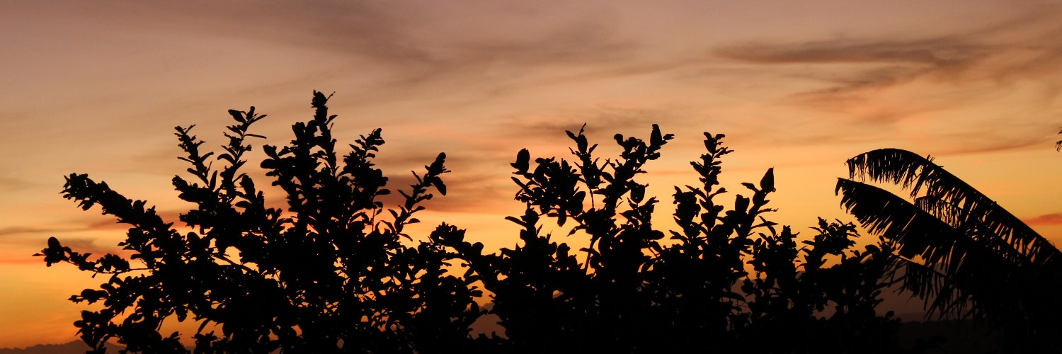 Bella_nv's profile banner image