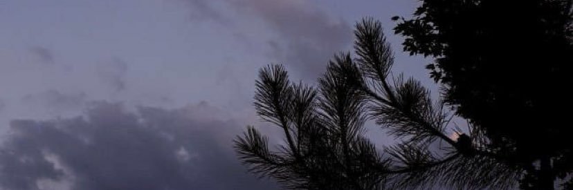 T__k96's profile banner image