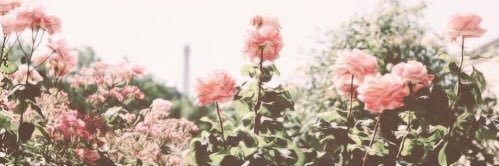 jchilinski's profile banner image