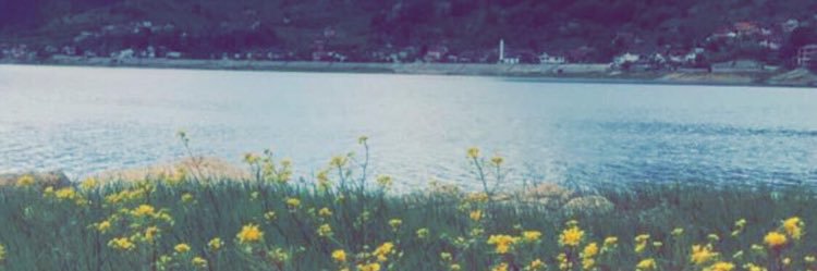 m_12566's profile banner image