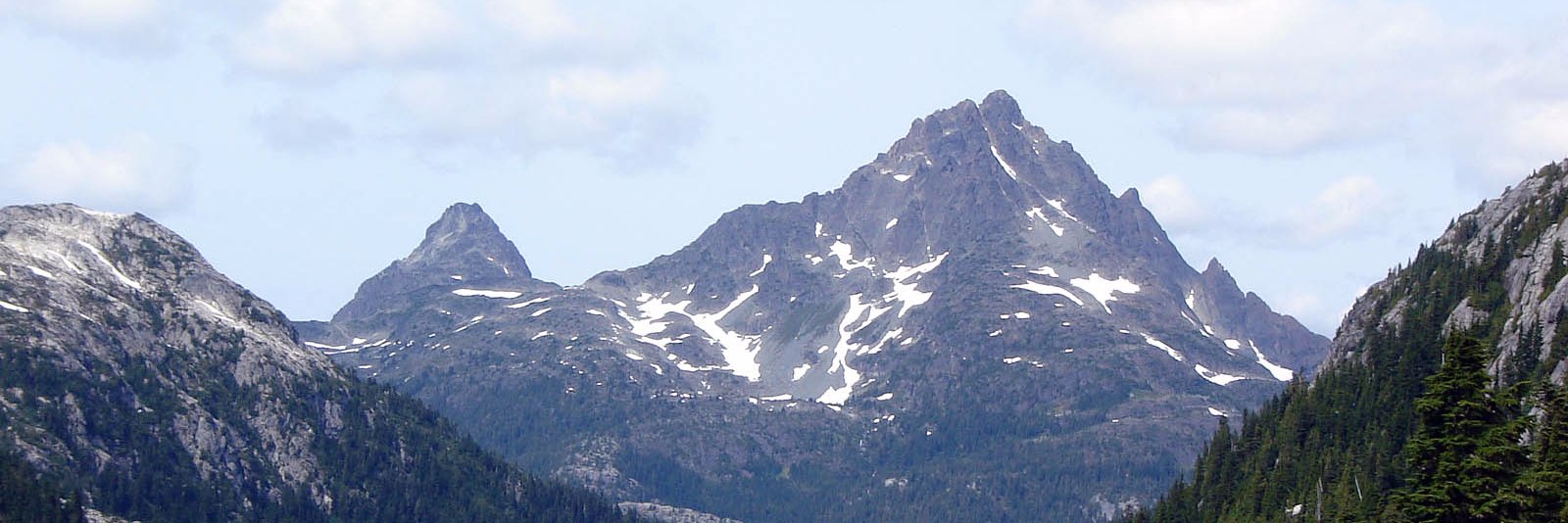 Forrest Donaldson banner