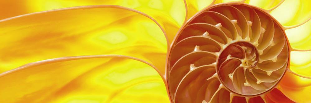 LeoConstruction's profile banner image
