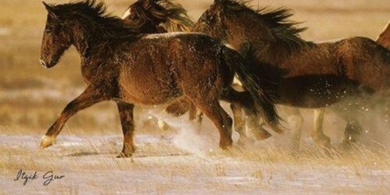 waledopp's profile banner image