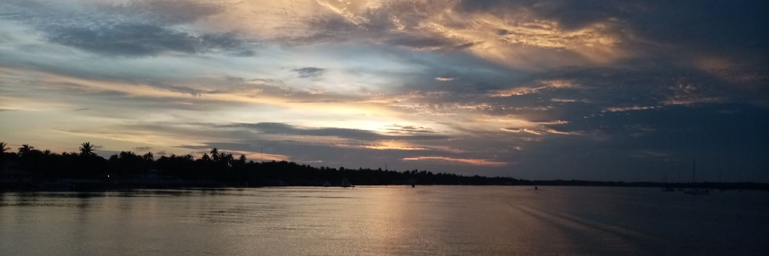 CarpioWili's profile banner image