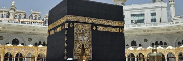 FrauBasalom Profile Banner