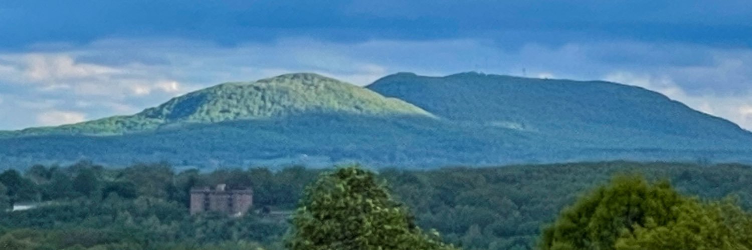 brainbrad's profile banner image