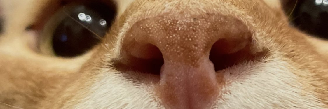 theboothbabe's profile banner image