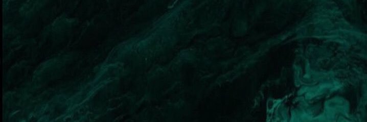 Guaraldo banner