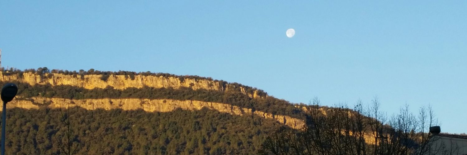Ignasi Jaumandreu banner