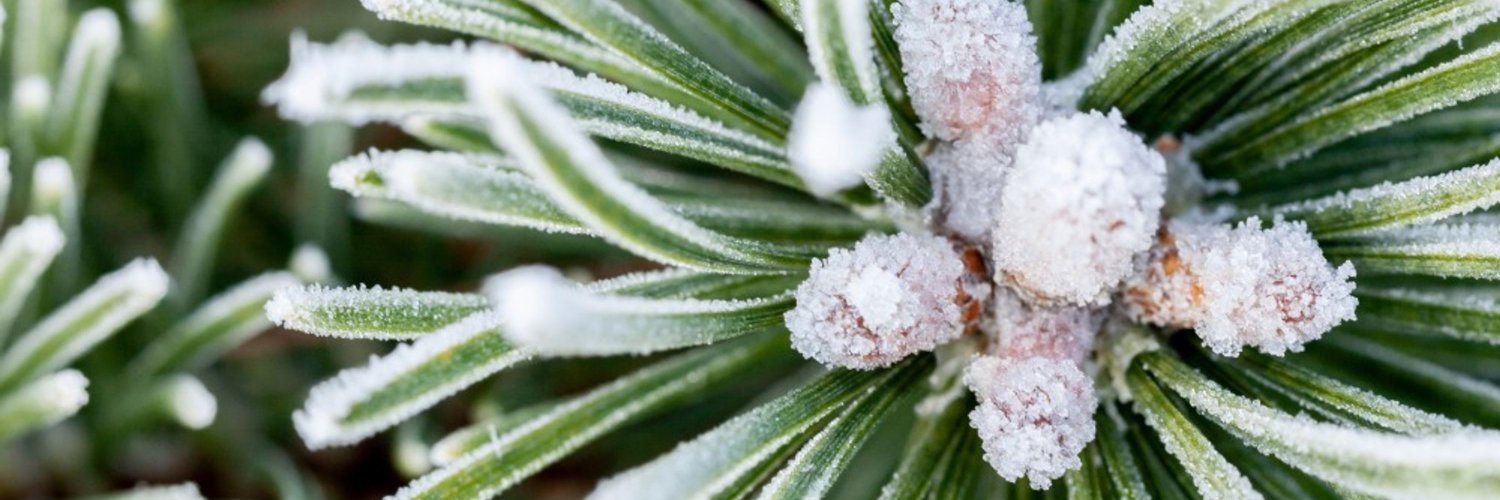 Suomen ympäristökeskus banner