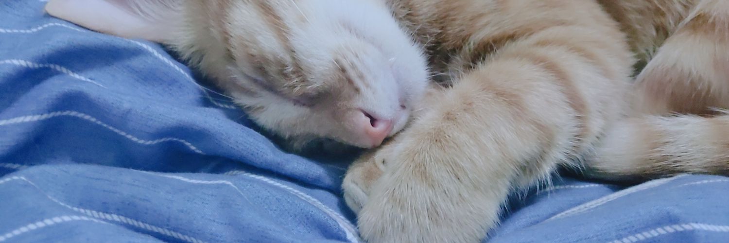 killmybb's profile banner image