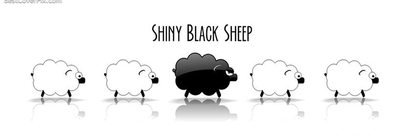 Shampeau's profile banner image