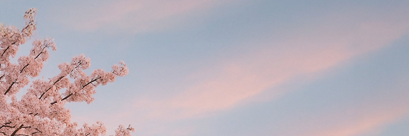 furi banner