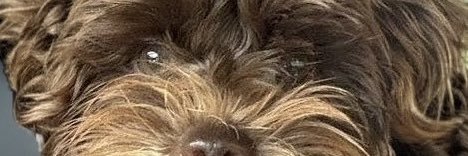 CMGALIN's profile banner image