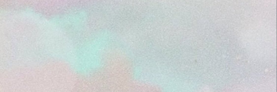shewearskeds's profile banner image