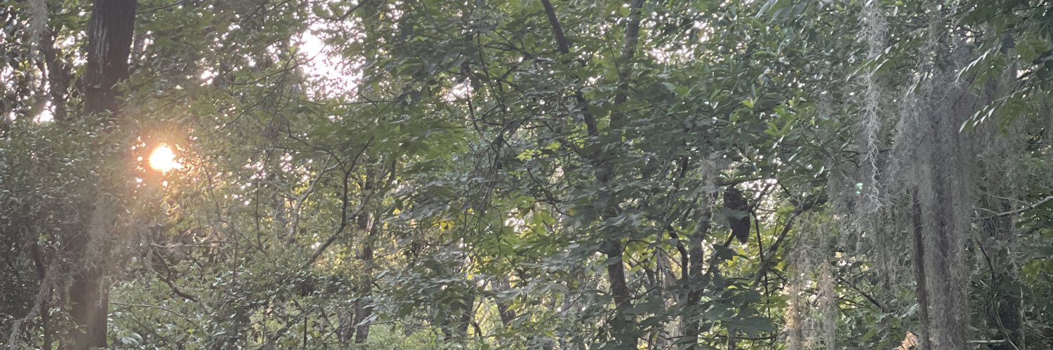 edenishh's profile banner image