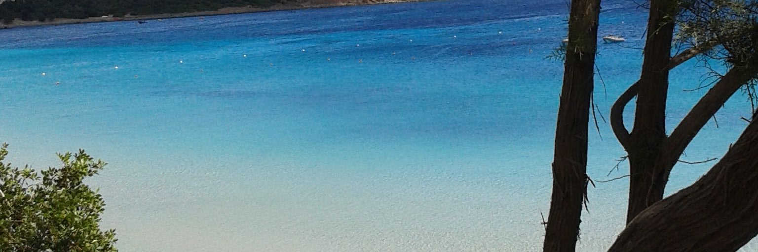ancora tu banner