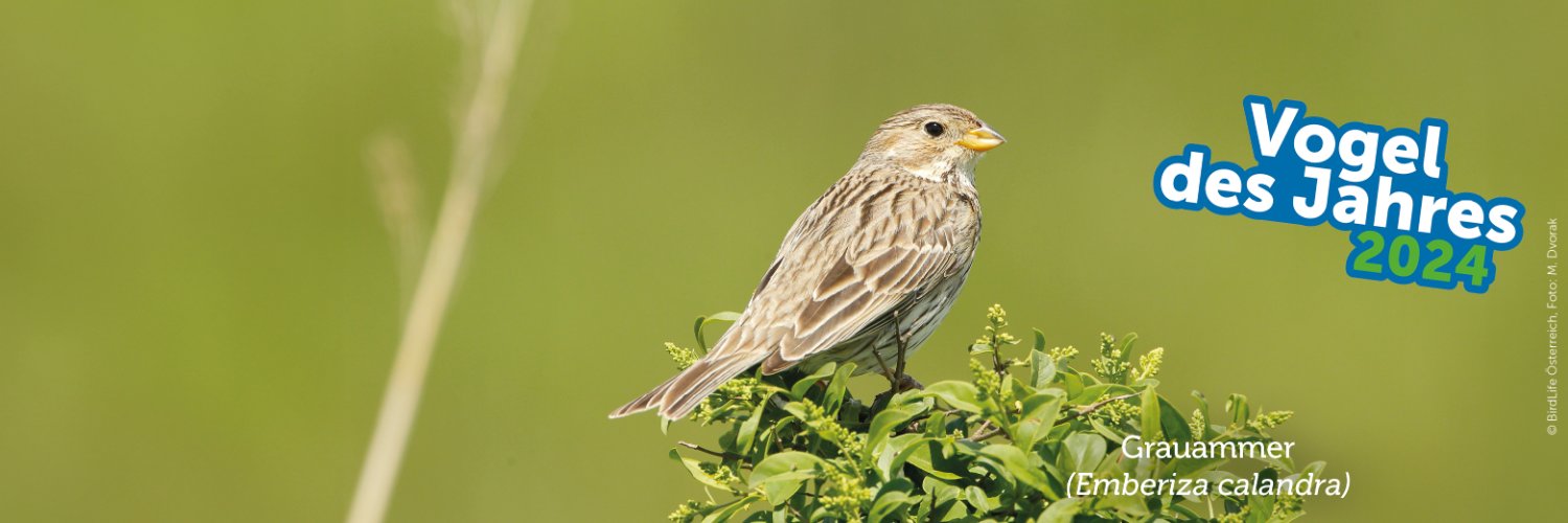 BirdLife Österreich banner