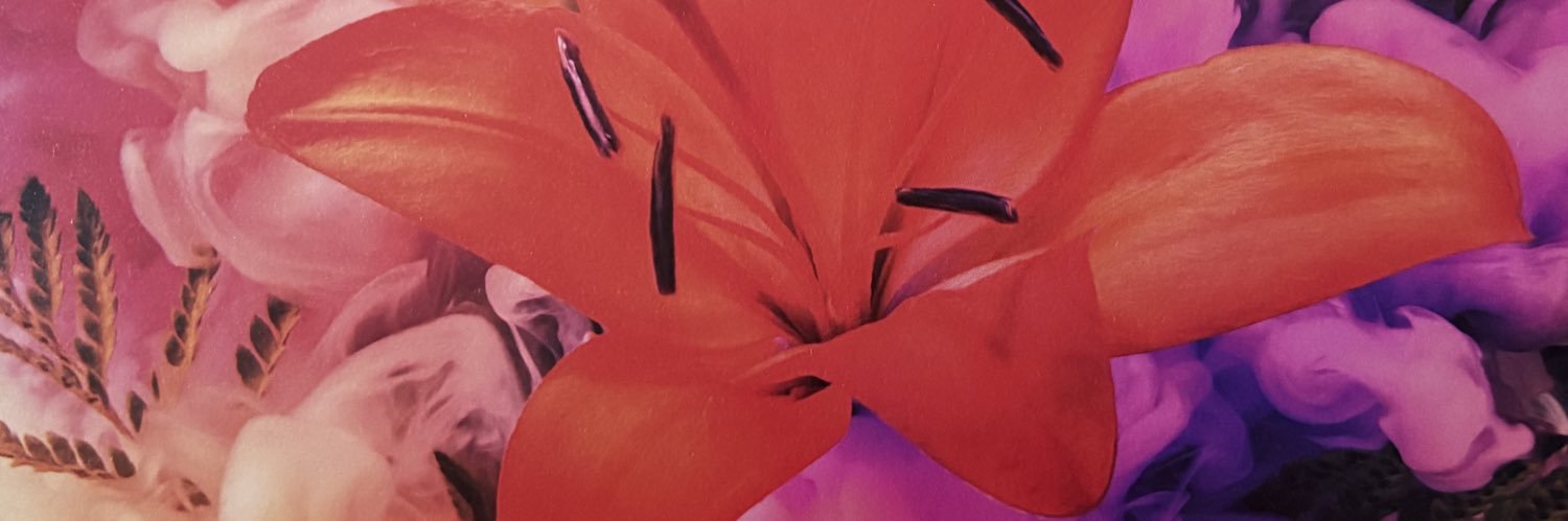 ZeSoninho's profile banner image