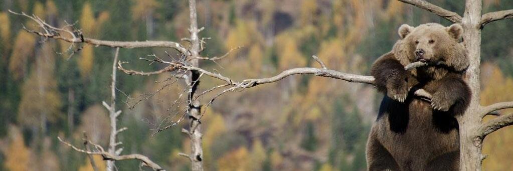 darv1505's profile banner image