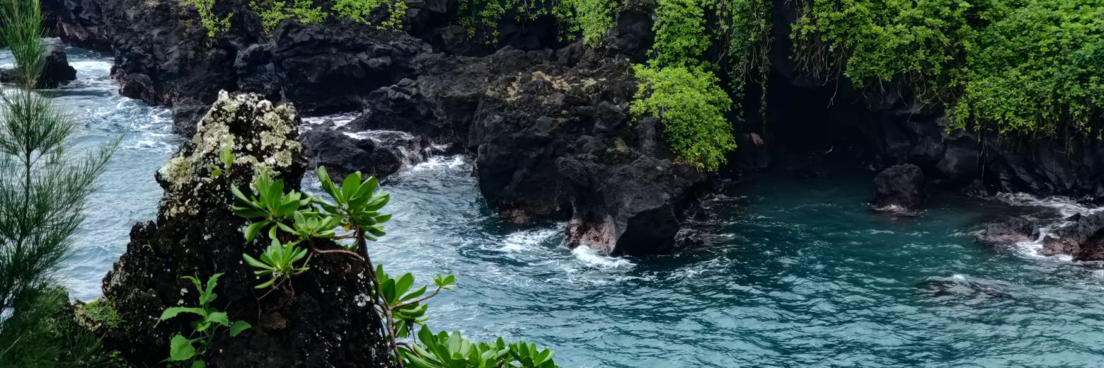 Michelle Spencer banner