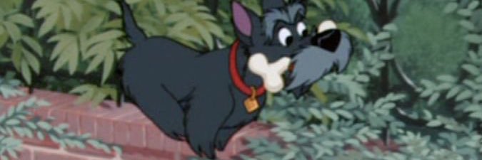 willowienk's profile banner image