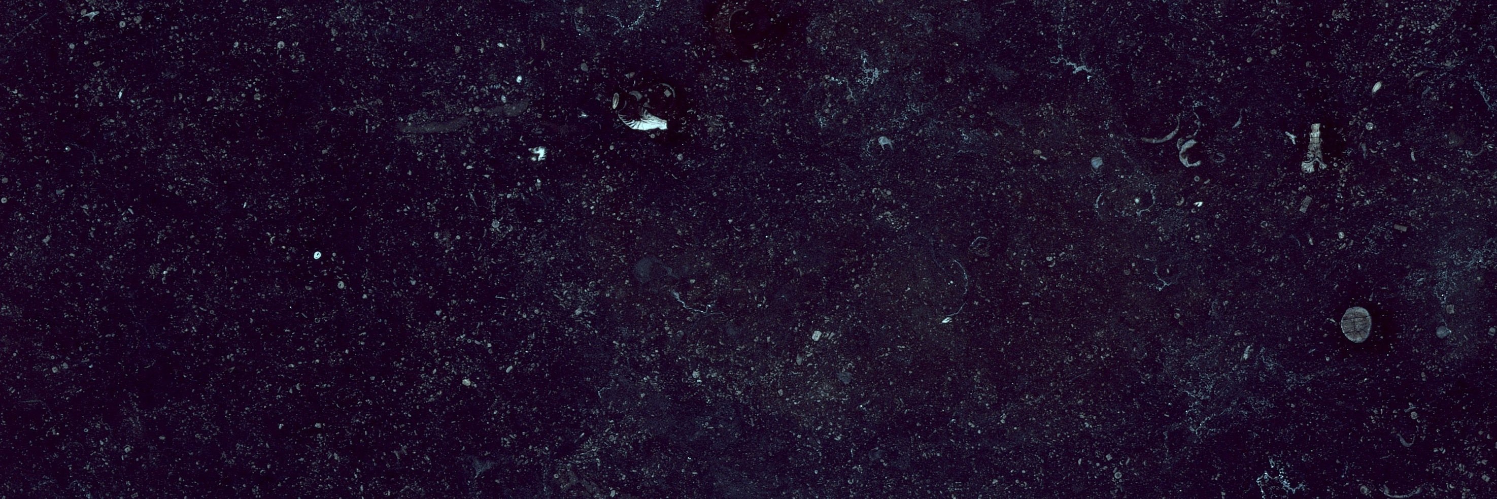 Flosh's profile banner image