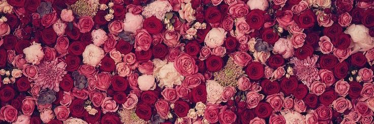 fleurvoria's profile banner image