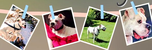 NicDavisNotes Profile Banner