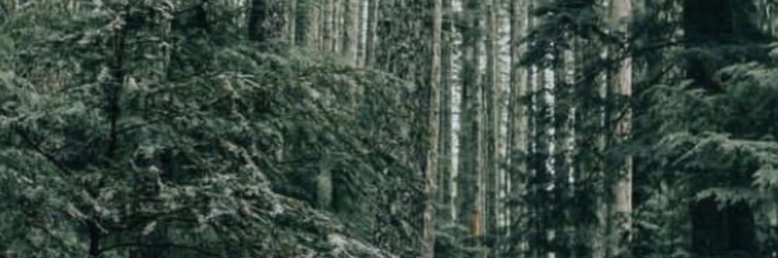 tusuwatu's profile banner image