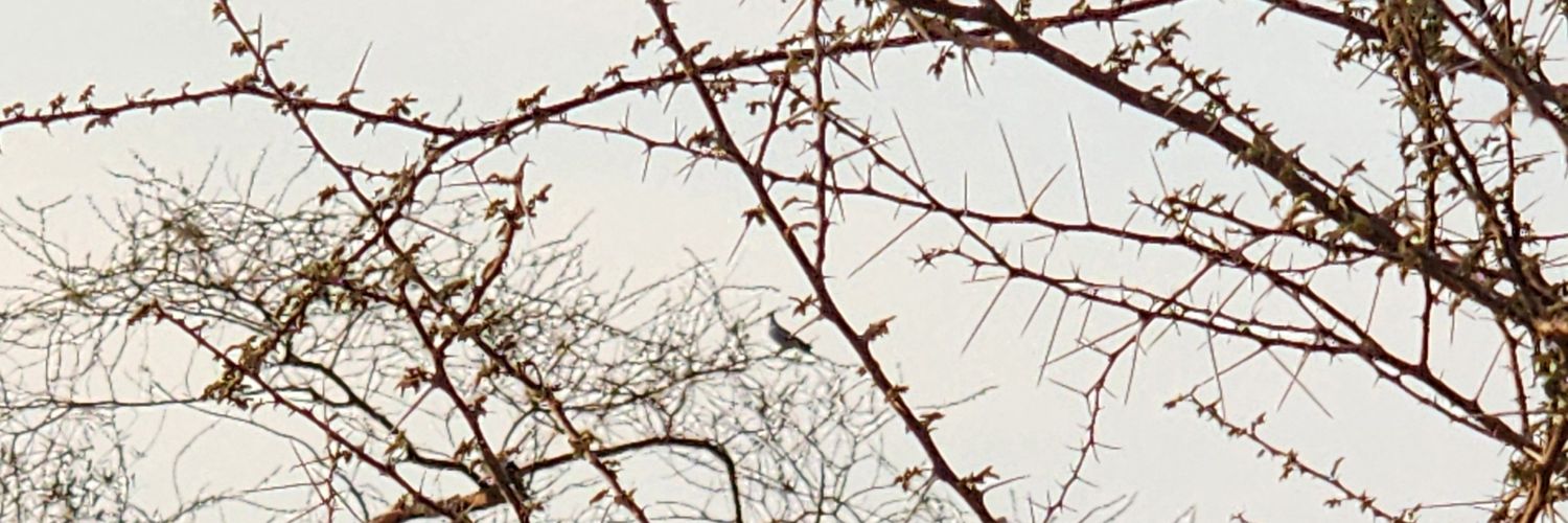 hmo22446688's profile banner image