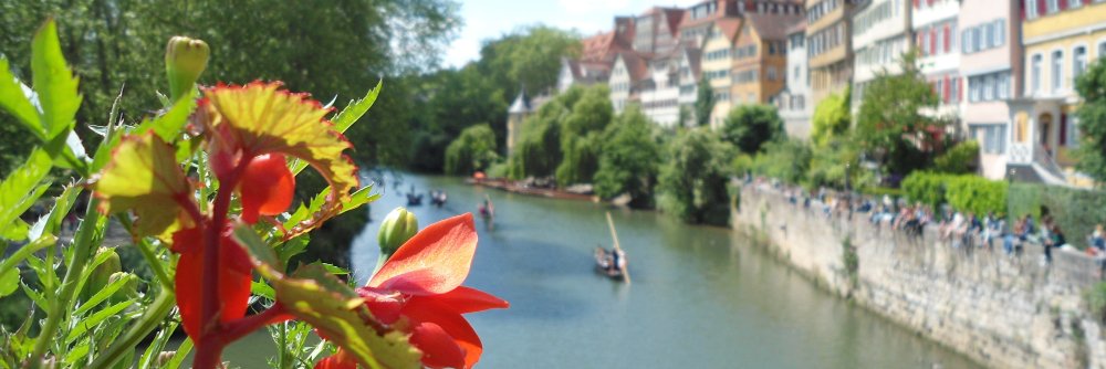 Stuart Kime FCCT banner