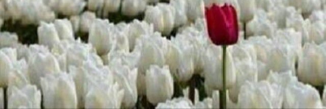 Alnasma_1978's profile banner image