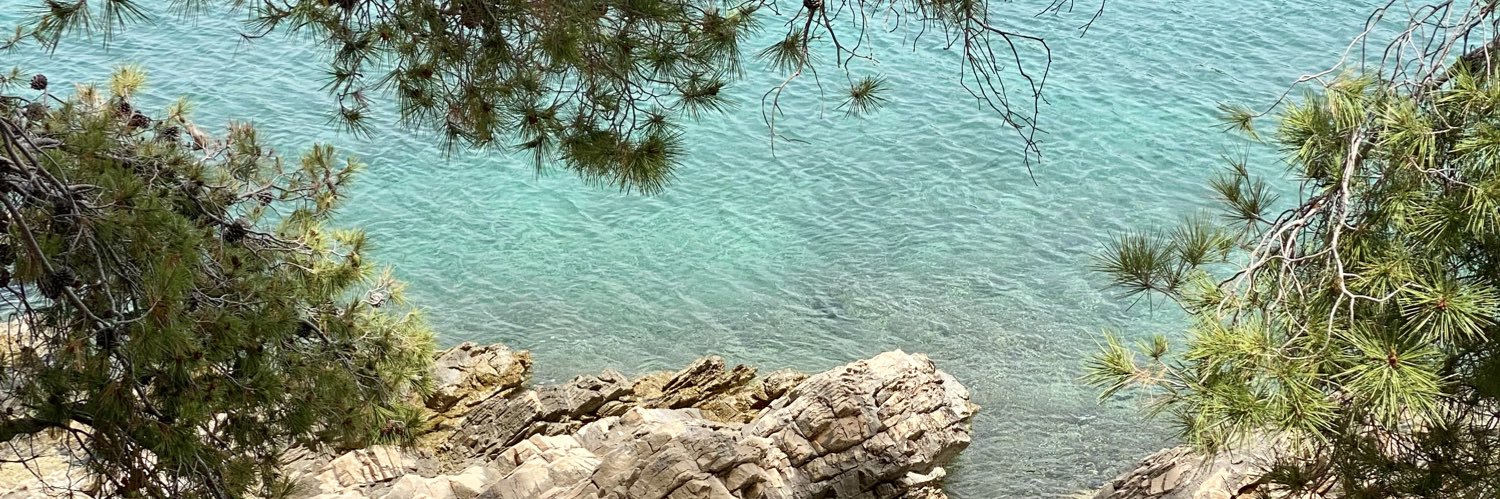 vesnagreen's profile banner image